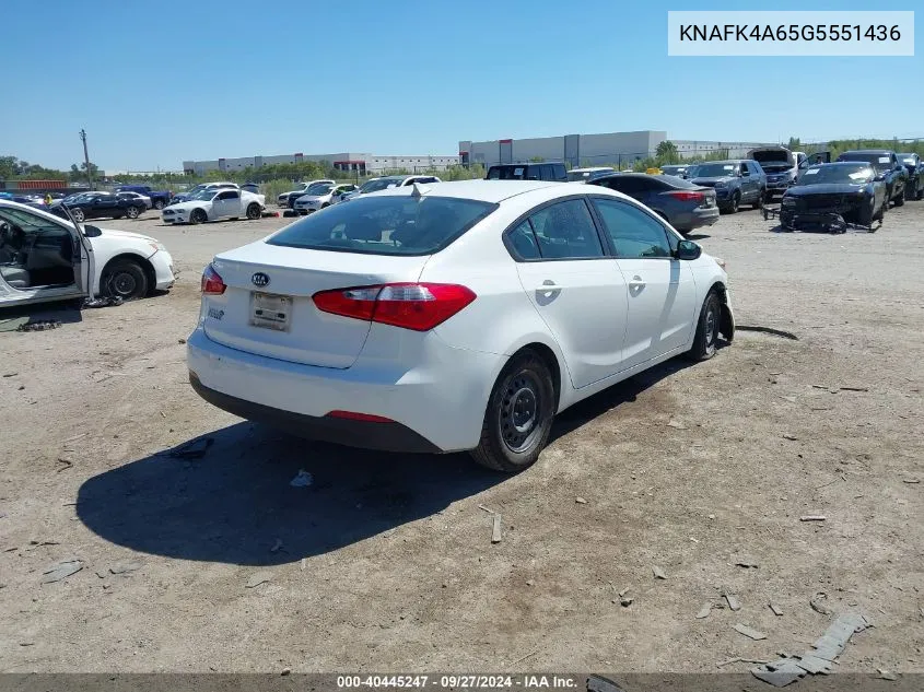 2016 Kia Forte Lx VIN: KNAFK4A65G5551436 Lot: 40445247