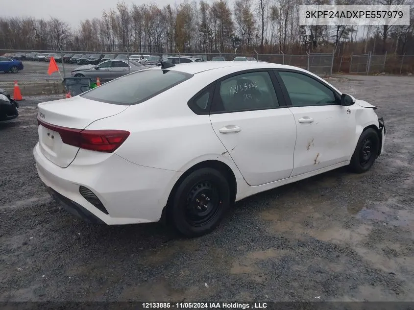 2023 Kia Forte VIN: 3KPF24ADXPE557979 Lot: 12133885