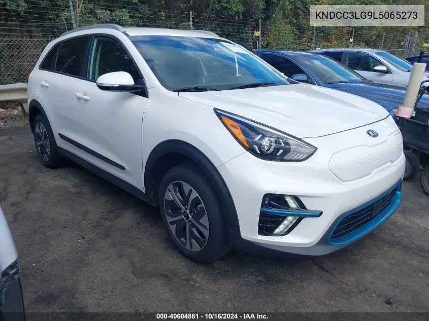 2020 Kia Niro Ev Ex VIN: KNDCC3LG9L5065273 Lot: 40604881