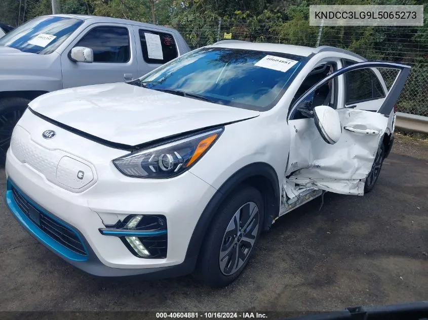 2020 Kia Niro Ev Ex VIN: KNDCC3LG9L5065273 Lot: 40604881