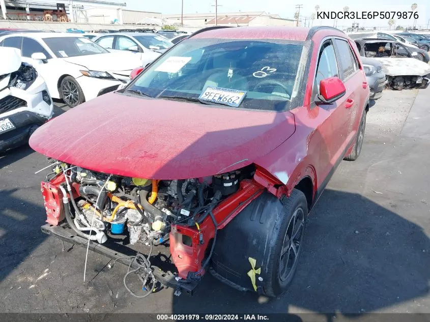 2023 Kia Niro Ex VIN: KNDCR3LE6P5079876 Lot: 40291979