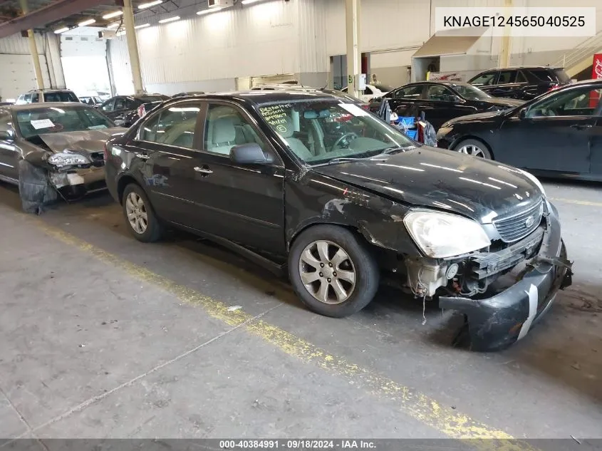 KNAGE124565040525 2006 Kia Optima Ex V6 (New)/Lx V6 (New)