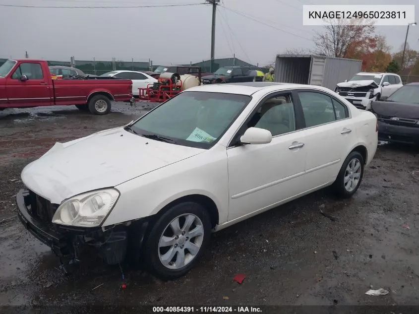 2006 Kia Optima Ex V6 (New)/Lx V6 (New) VIN: KNAGE124965023811 Lot: 40854391