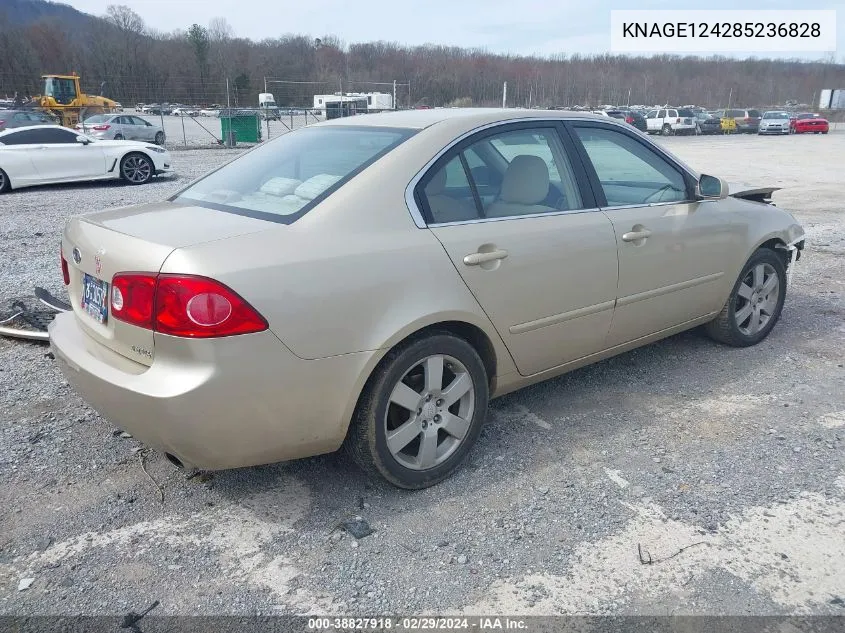 2008 Kia Optima Lx V6 VIN: KNAGE124285236828 Lot: 38827918