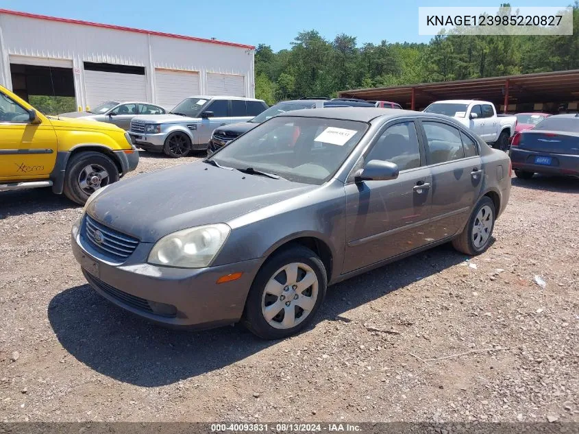 2008 Kia Optima Lx VIN: KNAGE123985220827 Lot: 40093831