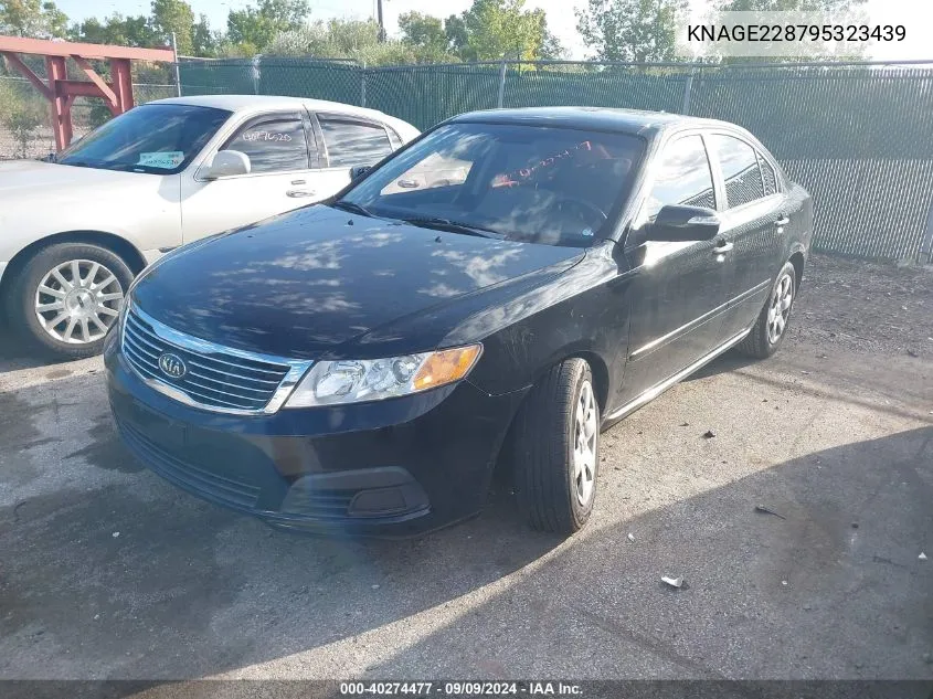 2009 Kia Optima Lx VIN: KNAGE228795323439 Lot: 40274477