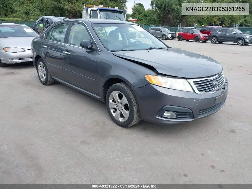 2009 Kia Optima Ex VIN: KNAGE228395361265 Lot: 40321922