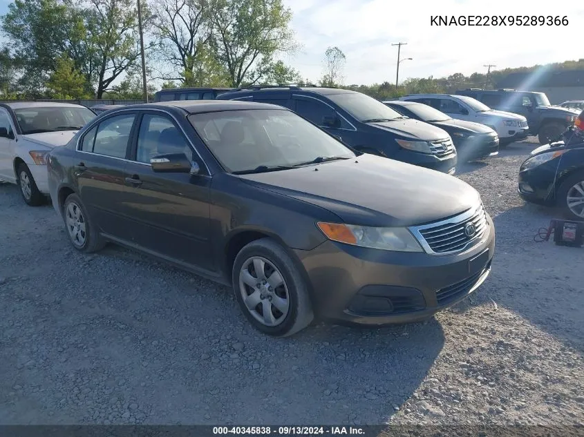 2009 Kia Optima Lx VIN: KNAGE228X95289366 Lot: 40345838