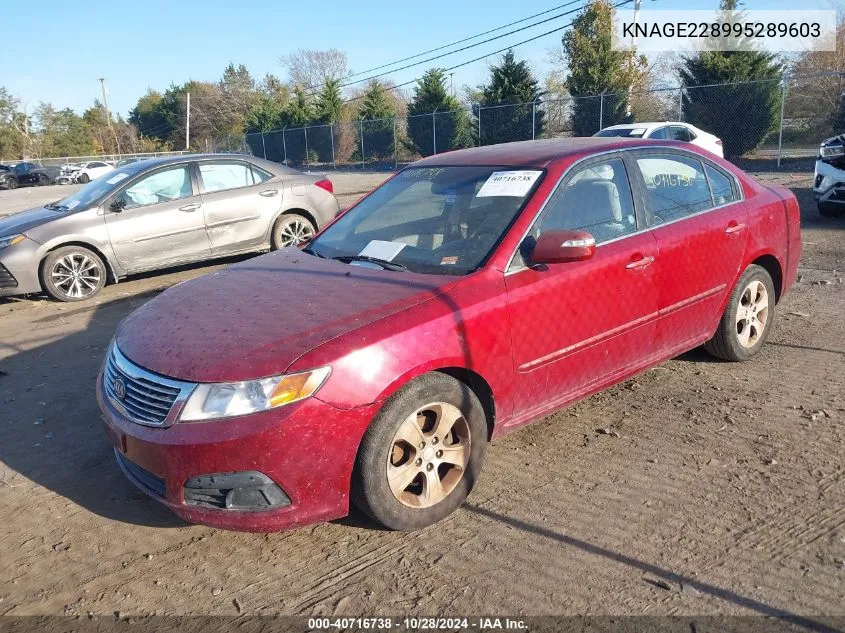 KNAGE228995289603 2009 Kia Optima Lx