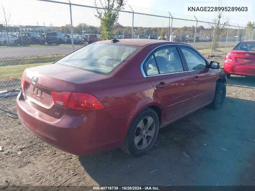 KNAGE228995289603 2009 Kia Optima Lx