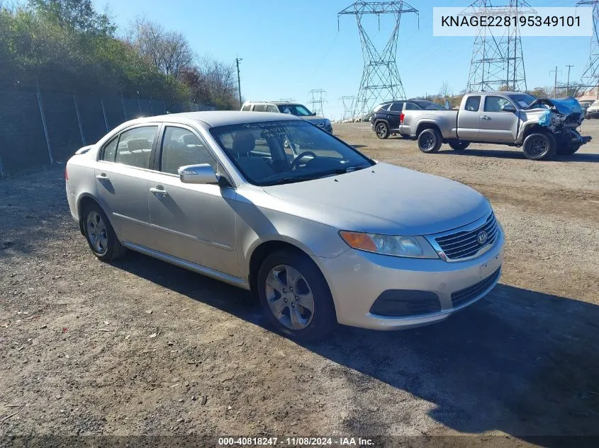 2009 Kia Optima Lx VIN: KNAGE228195349101 Lot: 40818247