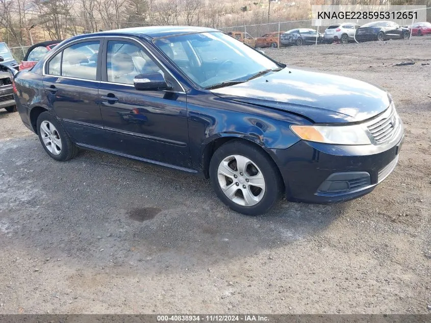 2009 Kia Optima Lx VIN: KNAGE228595312651 Lot: 40838934