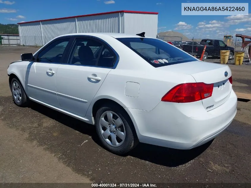 2010 Kia Optima Lx VIN: KNAGG4A86A5422460 Lot: 40001324