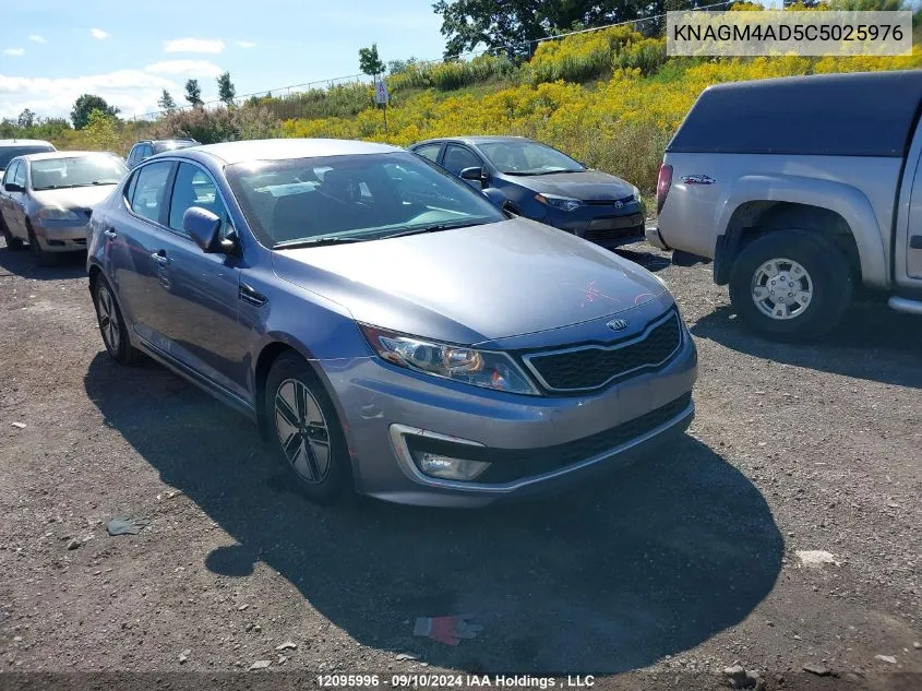 2012 Kia Optima VIN: KNAGM4AD5C5025976 Lot: 12095996