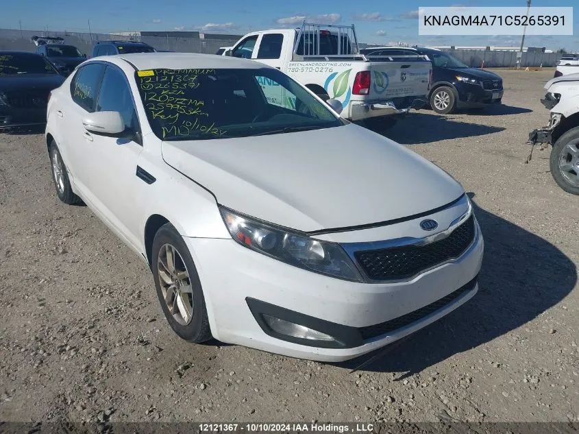 2012 Kia Optima VIN: KNAGM4A71C5265391 Lot: 12121367