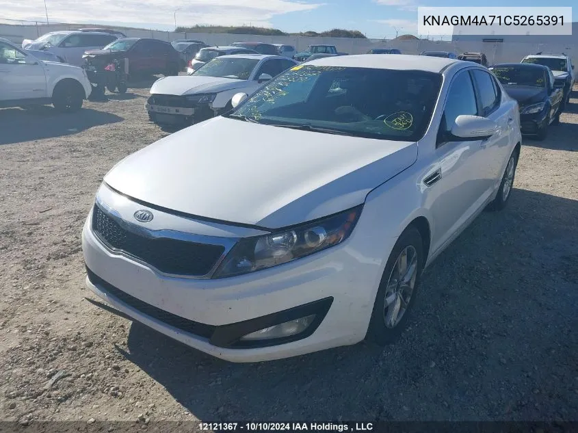 2012 Kia Optima VIN: KNAGM4A71C5265391 Lot: 12121367