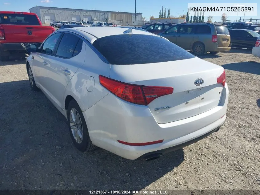 2012 Kia Optima VIN: KNAGM4A71C5265391 Lot: 12121367