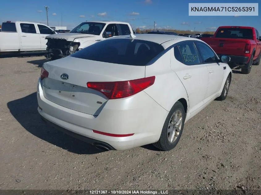 2012 Kia Optima VIN: KNAGM4A71C5265391 Lot: 12121367