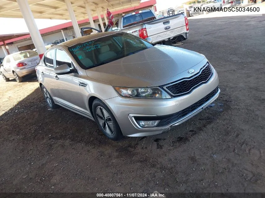 2012 Kia Optima Hybrid Ex VIN: KNAGM4AD5C5034600 Lot: 40807561