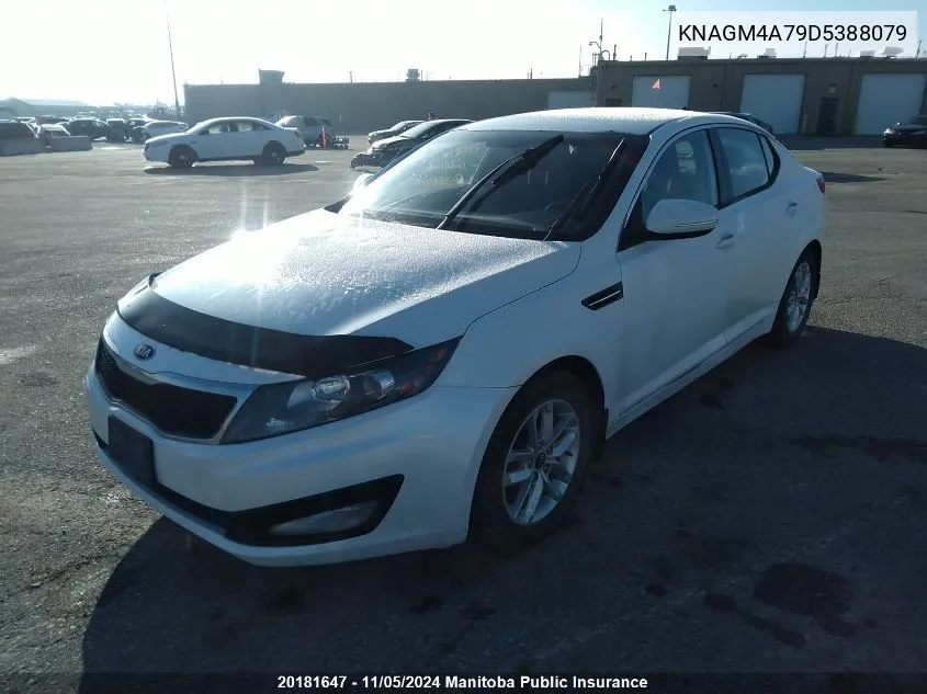 2013 Kia Optima Lx VIN: KNAGM4A79D5388079 Lot: 20181647