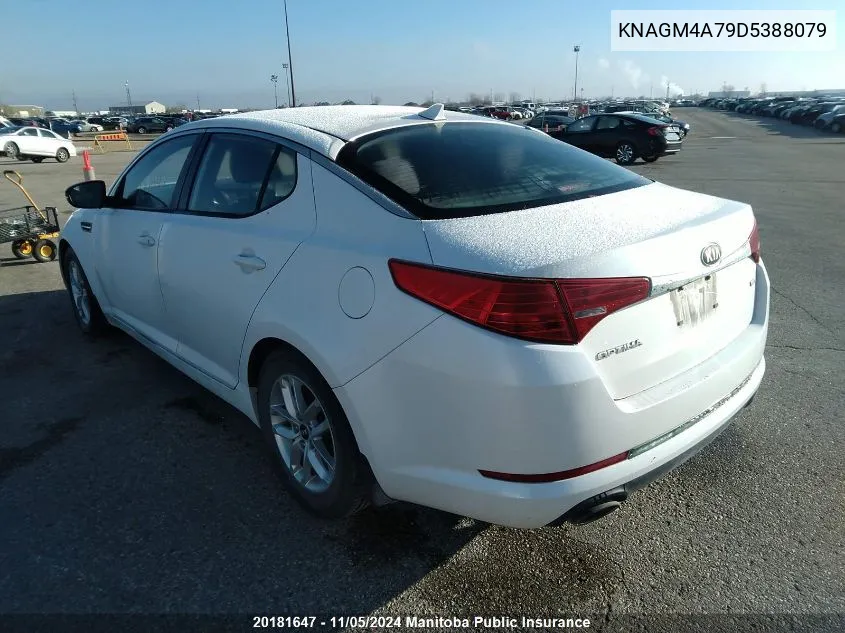 2013 Kia Optima Lx VIN: KNAGM4A79D5388079 Lot: 20181647