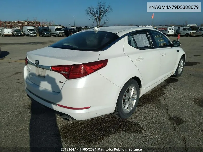 2013 Kia Optima Lx VIN: KNAGM4A79D5388079 Lot: 20181647