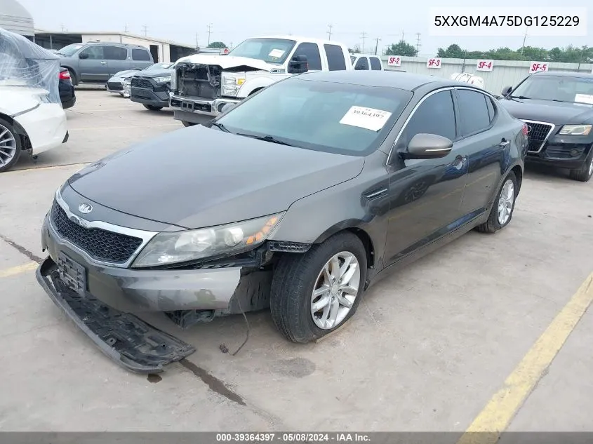 5XXGM4A75DG125229 2013 Kia Optima Lx