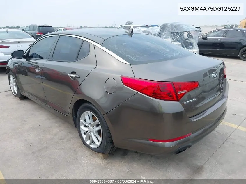 5XXGM4A75DG125229 2013 Kia Optima Lx