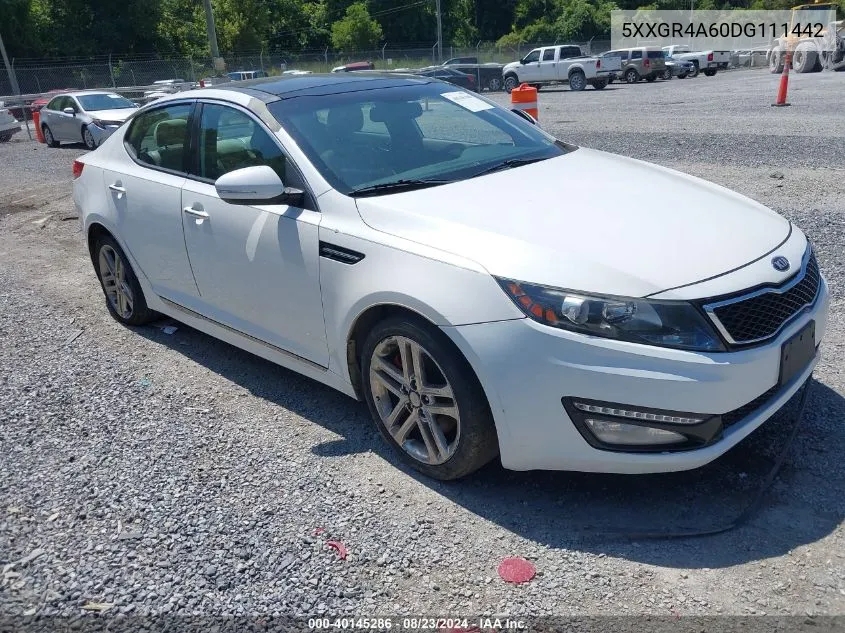 2013 Kia Optima Sx VIN: 5XXGR4A60DG111442 Lot: 40145286