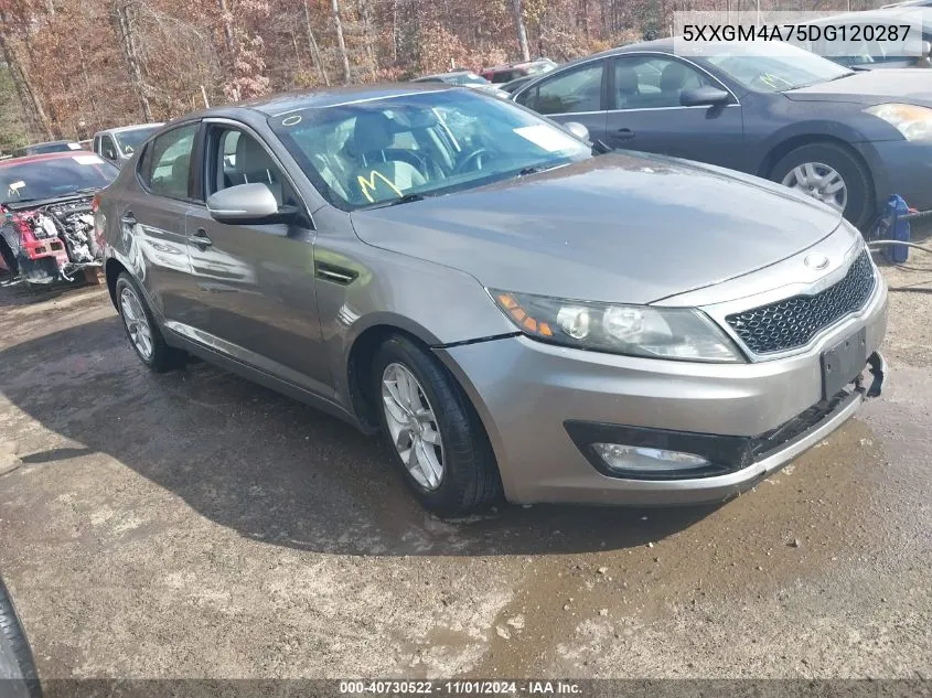 2013 Kia Optima Lx VIN: 5XXGM4A75DG120287 Lot: 40730522