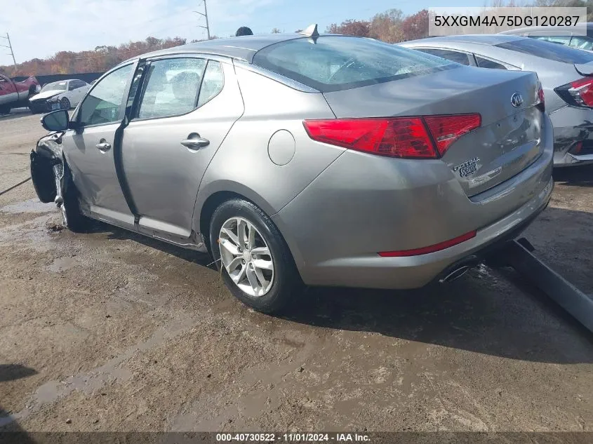 2013 Kia Optima Lx VIN: 5XXGM4A75DG120287 Lot: 40730522