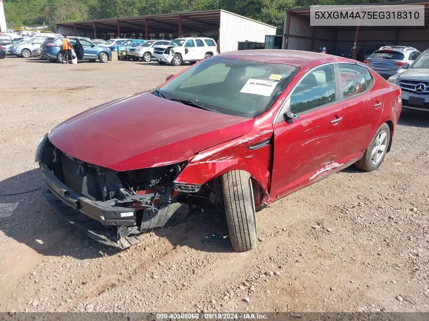 5XXGM4A75EG318310 2014 Kia Optima Lx