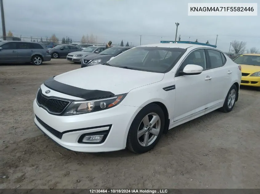 2015 Kia Optima VIN: KNAGM4A71F5582446 Lot: 12130464