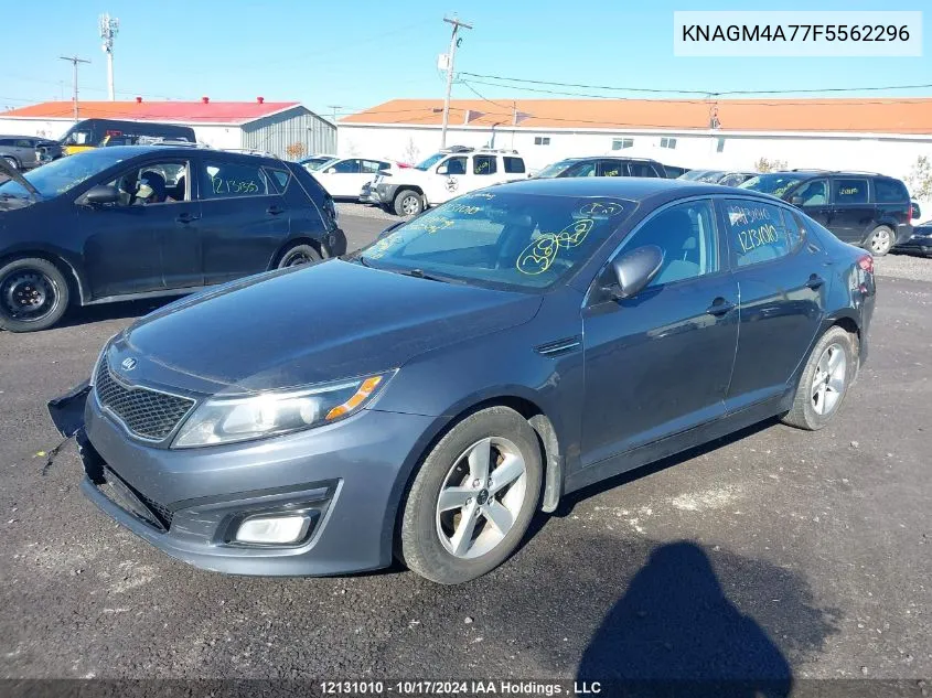 2015 Kia Optima Lx VIN: KNAGM4A77F5562296 Lot: 12131010