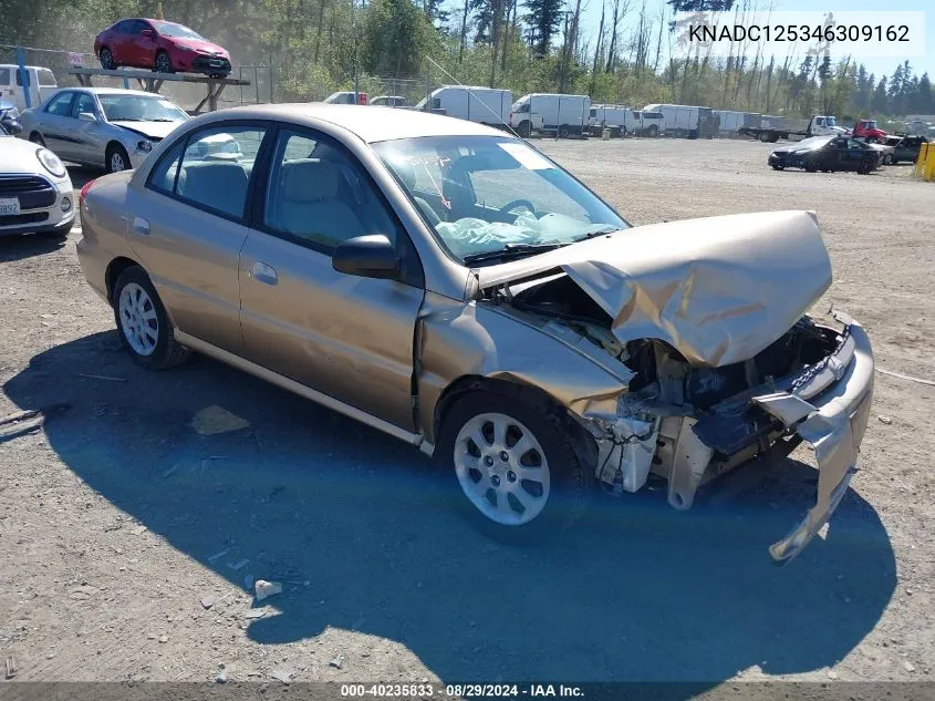 2004 Kia Rio VIN: KNADC125346309162 Lot: 40235833