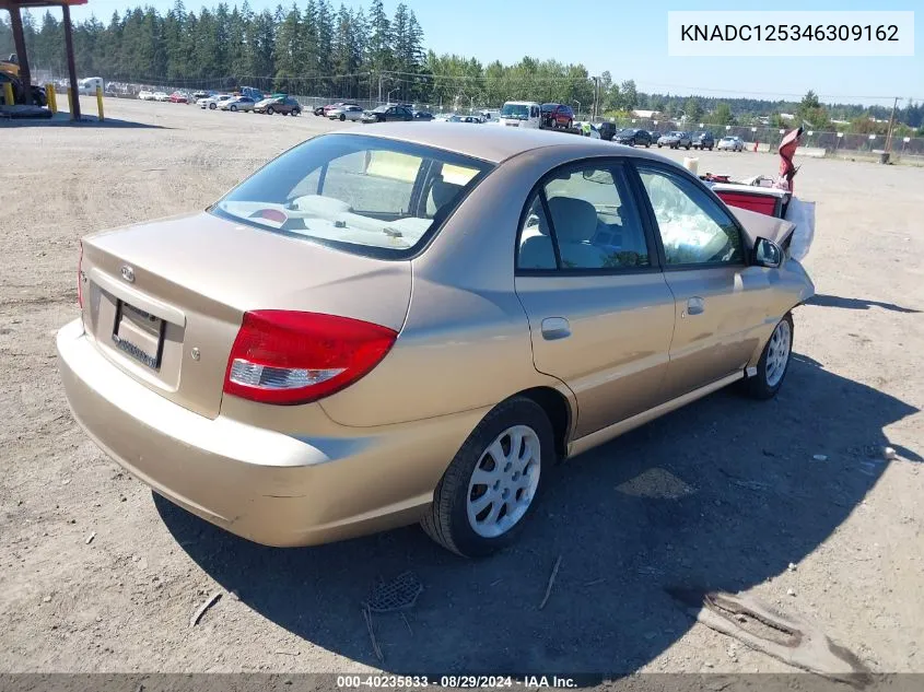 2004 Kia Rio VIN: KNADC125346309162 Lot: 40235833