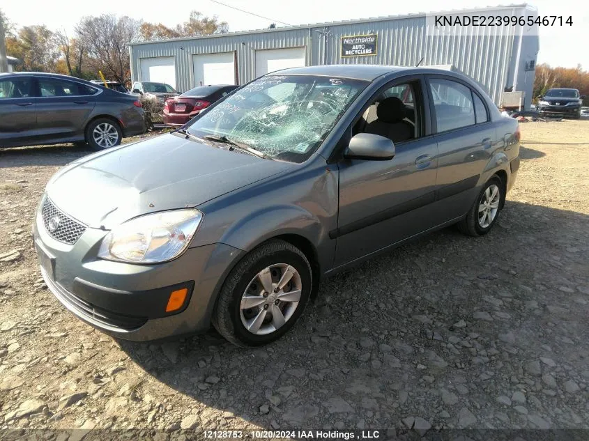 2009 Kia Rio VIN: KNADE223996546714 Lot: 12128753