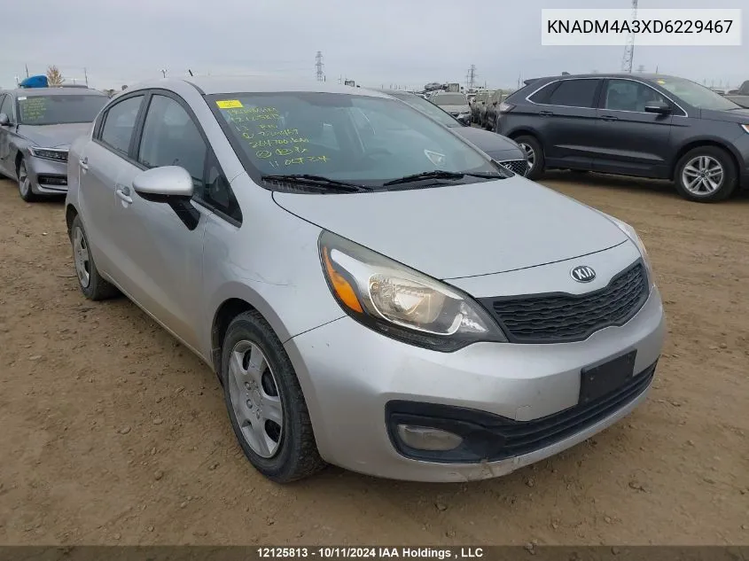 2013 Kia Rio VIN: KNADM4A3XD6229467 Lot: 12125813