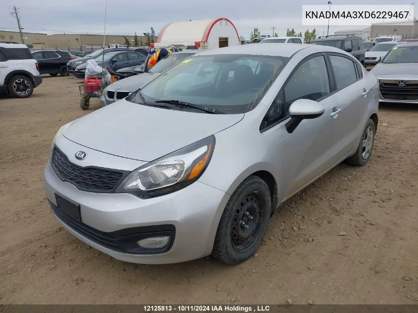 2013 Kia Rio VIN: KNADM4A3XD6229467 Lot: 12125813