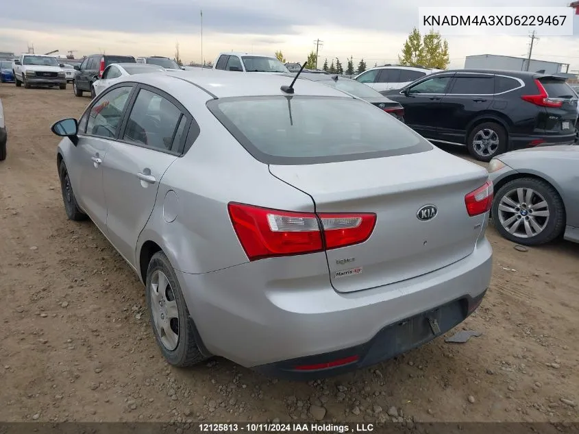 2013 Kia Rio VIN: KNADM4A3XD6229467 Lot: 12125813