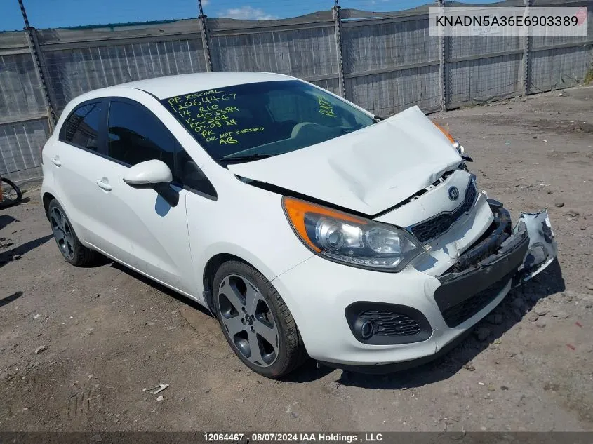 2014 Kia Rio VIN: KNADN5A36E6903389 Lot: 12064467