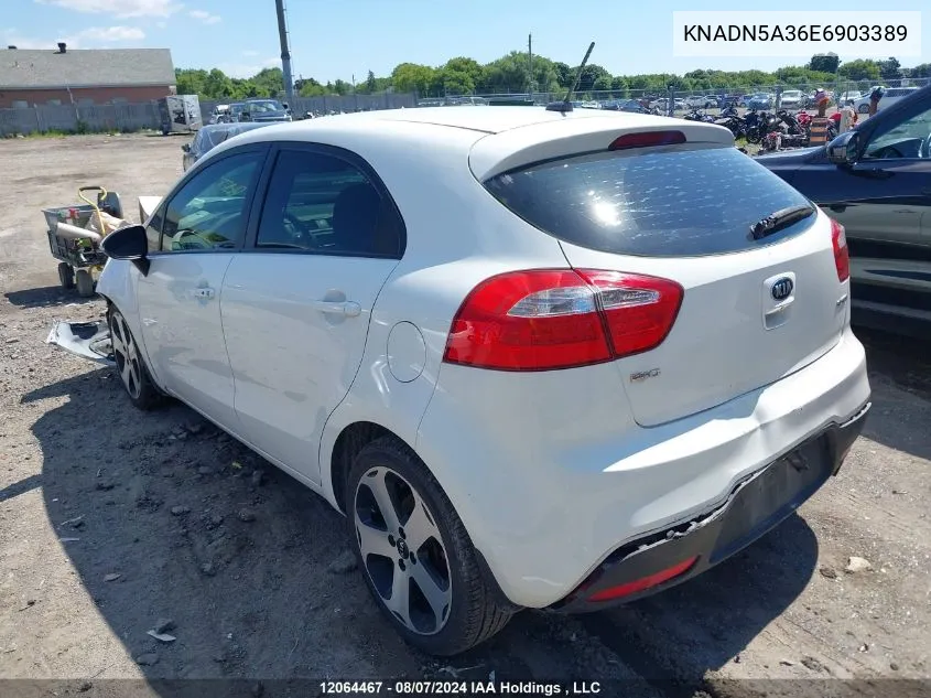 2014 Kia Rio VIN: KNADN5A36E6903389 Lot: 12064467