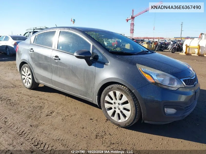 2014 Kia Rio VIN: KNADN4A36E6367490 Lot: 12131790