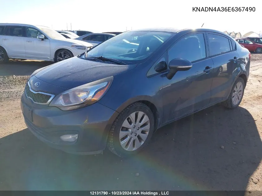 2014 Kia Rio VIN: KNADN4A36E6367490 Lot: 12131790