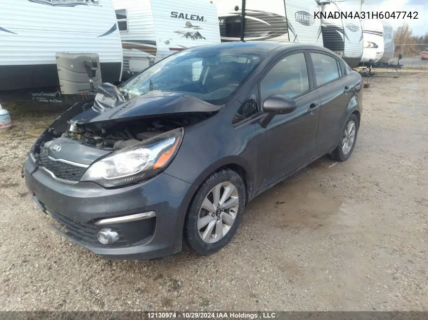 2017 Kia Rio VIN: KNADN4A31H6047742 Lot: 12130974