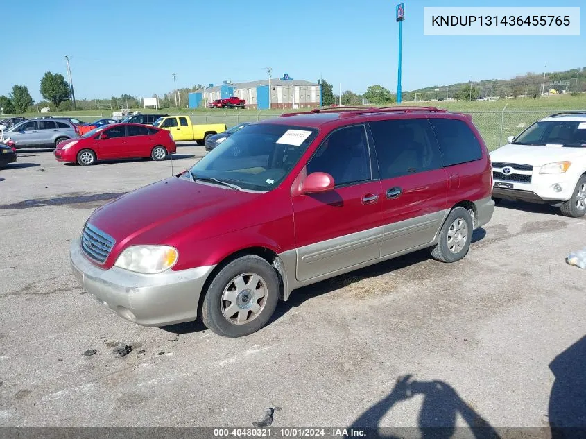 2003 Kia Sedona Ex/Lx VIN: KNDUP131436455765 Lot: 40480321