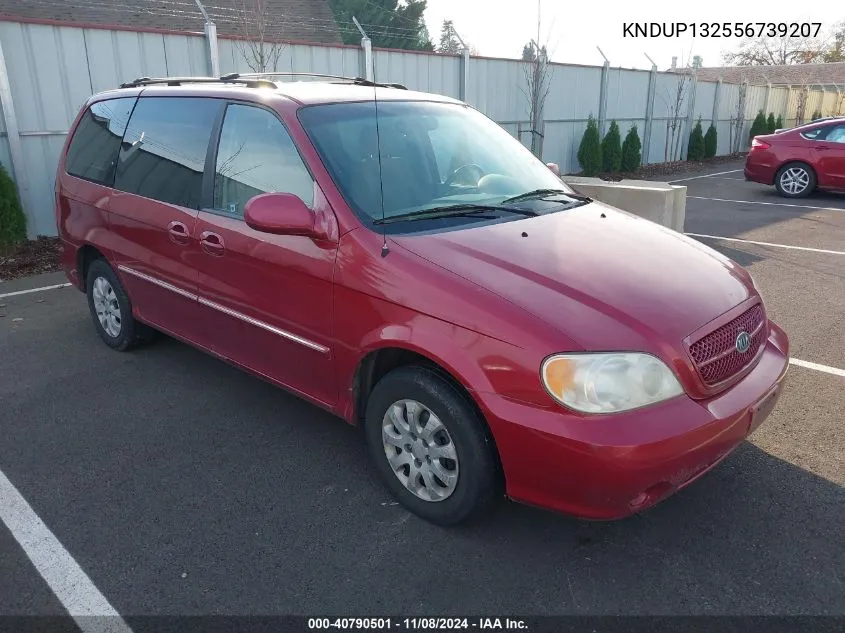 2005 Kia Sedona Ex/Lx VIN: KNDUP132556739207 Lot: 40790501