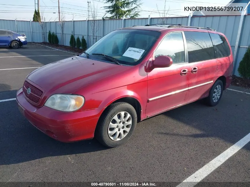 2005 Kia Sedona Ex/Lx VIN: KNDUP132556739207 Lot: 40790501