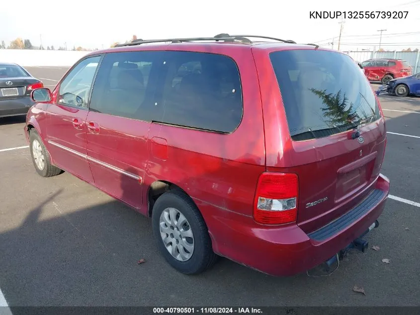 2005 Kia Sedona Ex/Lx VIN: KNDUP132556739207 Lot: 40790501