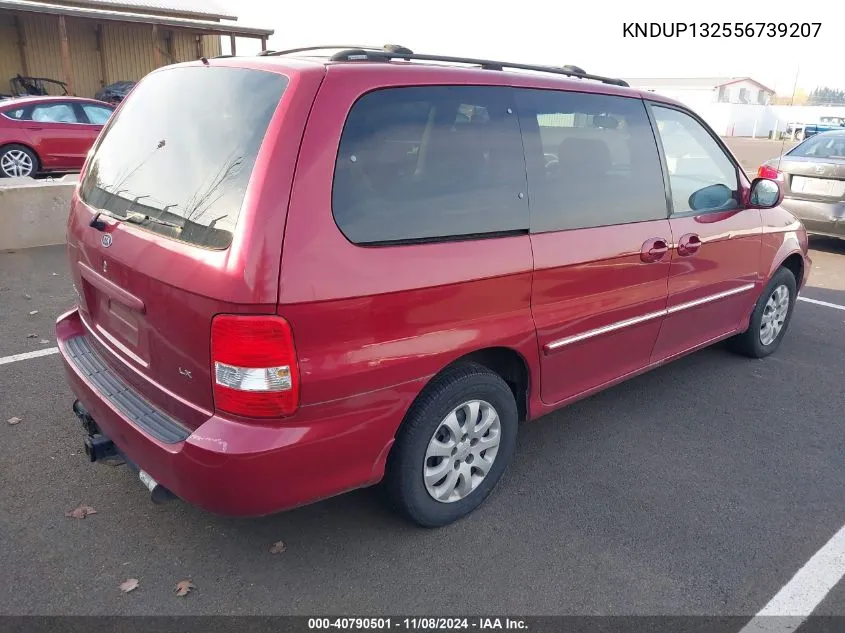 2005 Kia Sedona Ex/Lx VIN: KNDUP132556739207 Lot: 40790501